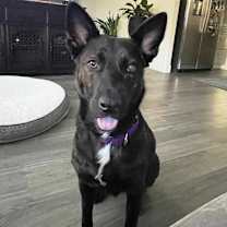 Thumbnail photo of Donna #1