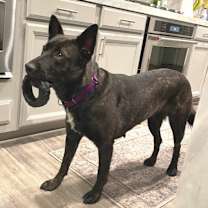 Thumbnail photo of Donna #2