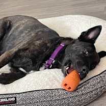 Thumbnail photo of Donna #3