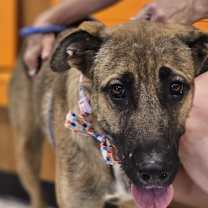 Thumbnail photo of Anya #2