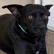 Thumbnail photo of BOBBIN #4