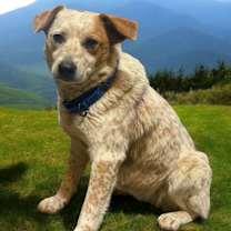 Thumbnail photo of Bobbi #4