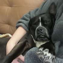 Thumbnail photo of Apple #2