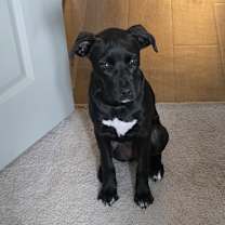 Thumbnail photo of Marceline #1