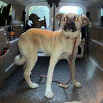 Thumbnail photo of Barkeisha #3