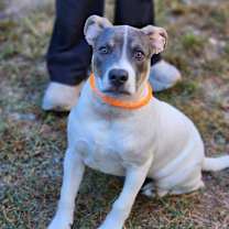 Thumbnail photo of Ice #1