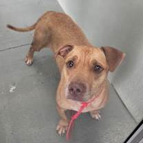 Thumbnail photo of Haze #2