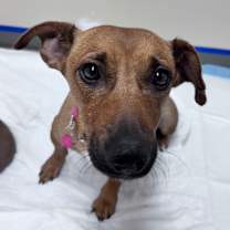 Thumbnail photo of Bay #3