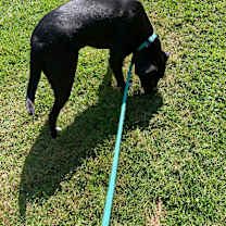 Thumbnail photo of Willa #3