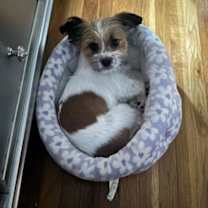 Thumbnail photo of Chloe #3