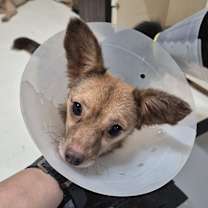 Thumbnail photo of Winie #1