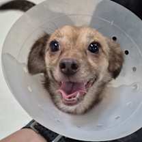 Thumbnail photo of Winie #2