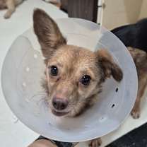 Thumbnail photo of Winie #3