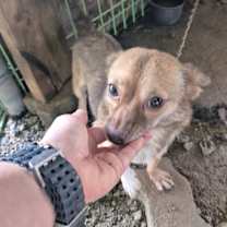 Thumbnail photo of Winie #4