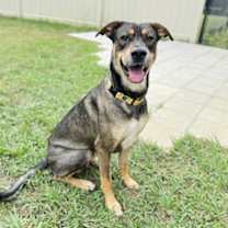 Thumbnail photo of ASKEW #1