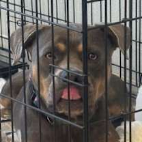 Thumbnail photo of Meatloaf #3