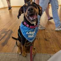 Thumbnail photo of Rosie #2 #3