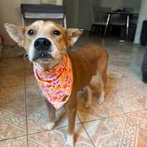 Thumbnail photo of Chrissy  #1