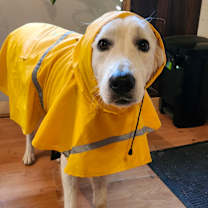 Thumbnail photo of Marlo #4