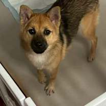 Thumbnail photo of Stella #3