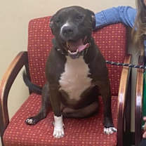 Thumbnail photo of Juno #4