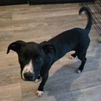 Thumbnail photo of Chance #3