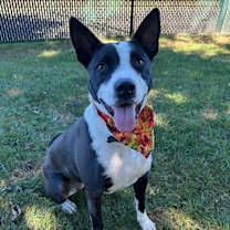 Thumbnail photo of Sabrina #3