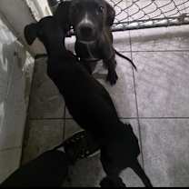 Thumbnail photo of Potion #2