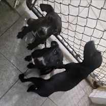 Thumbnail photo of Potion #3