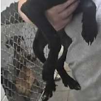 Thumbnail photo of Potion #4