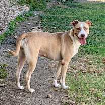 Thumbnail photo of Mabel #3