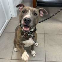 Thumbnail photo of Malcom #2