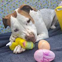 Thumbnail photo of Heidi DJ* #4