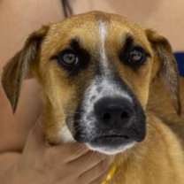 Thumbnail photo of Tattoo #2