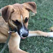 Thumbnail photo of Tattoo #3