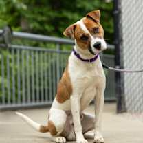 Thumbnail photo of Reginald #3