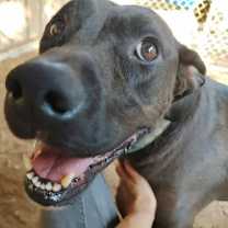 Thumbnail photo of Flower #1