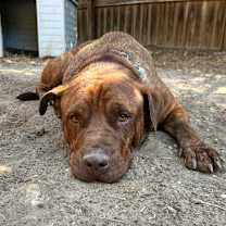 Thumbnail photo of Wendell #4