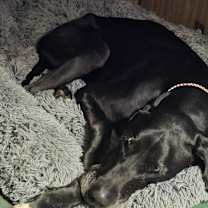 Thumbnail photo of Molly Grace #1