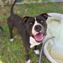 Thumbnail photo of Fabio #1