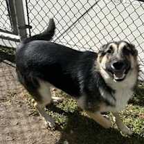 Thumbnail photo of TACO #2