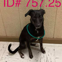 Thumbnail photo of Velma  #2