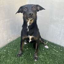 Thumbnail photo of Velma  #3