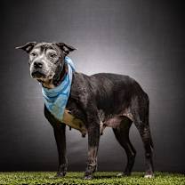 Thumbnail photo of Meka #3