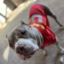 Thumbnail photo of Carter #4