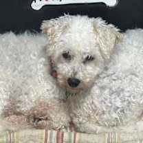 Thumbnail photo of Snow #4