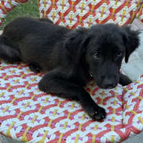 Thumbnail photo of Winnie #3