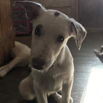 Thumbnail photo of Leslie #4