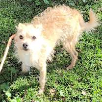 Thumbnail photo of Thumper  #1