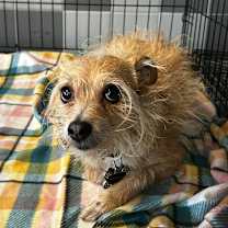 Thumbnail photo of Thumper  #2